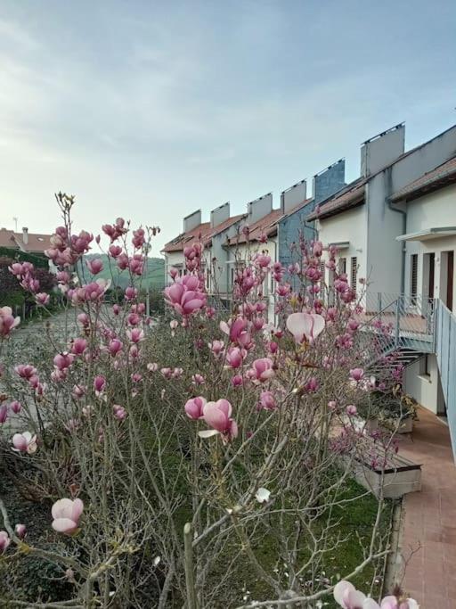 Ferienwohnung Terraza Y Piscina Con Vistas Espectaculares Al Mar Parking Cubierto San Vicente De La Barquera Exterior foto